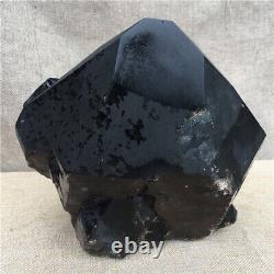 25.52LB Natural smoky black Quartz Mineral carved Crystal Specimen reiki Healing