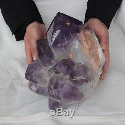 25.54LB Natural Purple Amethyst Quartz Crystal Cluster Points Polished Healing