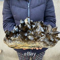 25 LB Huge Natural Smoky Quartz Cluster Healing Crystal Point Mineral Specimen