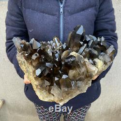25 LB Huge Natural Smoky Quartz Cluster Healing Crystal Point Mineral Specimen