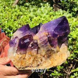 2560G Natural Amethyst Cluster Quartz Crystal Rare Mineral Specimen Heals