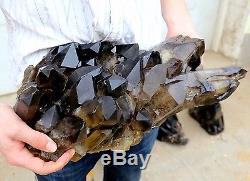 26.24lb Natural Rare Beautiful Black QUARTZ Crystal Cluster Mineral Specimen