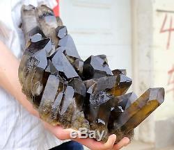 26.24lb Natural Rare Beautiful Black QUARTZ Crystal Cluster Mineral Specimen