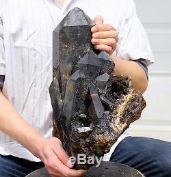 26.29lb Natural Rare Beautiful Black QUARTZ Crystal Cluster Mineral Specimen