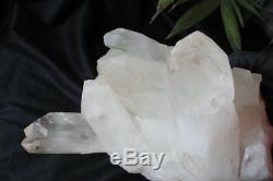 26.2LB 11.9kg Huge Raw Natural Clear White Quartz Crystal Cluster Points