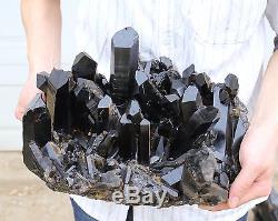 26.97lb Natural Rare Beautiful Black QUARTZ Crystal Cluster Mineral Specimen