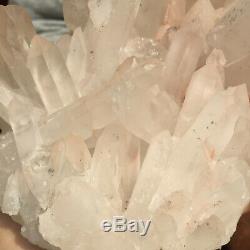 2636g Large Natural Clear Pink Quartz Crystal Cluster Rough Healing Specimen