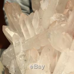 2636g Large Natural Clear Pink Quartz Crystal Cluster Rough Healing Specimen