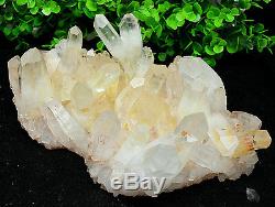 2800g New Find Rare NATURAL White Clear Quartz Crystal Cluster Specimen