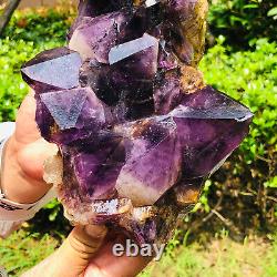 2850G Natural Amethyst geode quartz cluster crystal specimen Healing DH457