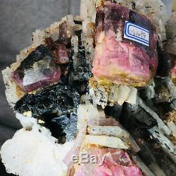 2873g Large Natural Pink Tourmaline Crystal Cluster Gemstone Mineral Specimen