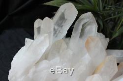 29.6LB 13.44kg Huge Raw Natural Clear White Quartz Crystal Cluster Points China