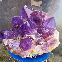 29130g Huge Natural amethyst Cluster purple Quartz Crystal Rare mineral Specimen