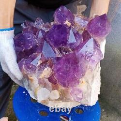 29130g Huge Natural amethyst Cluster purple Quartz Crystal Rare mineral Specimen