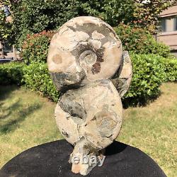 2970g Natural Ammonite Fossil Conch Quartz Crystal Specimen HH2091