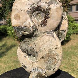 2970g Natural Ammonite Fossil Conch Quartz Crystal Specimen HH2091