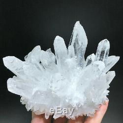 2LB New Find Pretty Clear White Quartz Crystal Cluster Vug Mineral Specimens