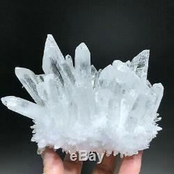 2LB New Find Pretty Clear White Quartz Crystal Cluster Vug Mineral Specimens