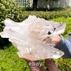 3.02LB Natural crystal crystal cluster quartz crystal cluster mineral specimen