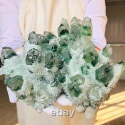 3.06LB Find Green Phantom Quartz Crystal Cluster Mineral Specimen Healing F859