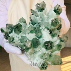 3.06LB Find Green Phantom Quartz Crystal Cluster Mineral Specimen Healing F859
