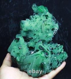 3.15lb RARE! New Find Natural Beatiful Green Quartz Crystal Cluster Specimen