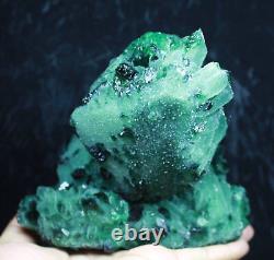 3.15lb RARE! New Find Natural Beatiful Green Quartz Crystal Cluster Specimen