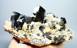 3.16 lb Natural Rare Beautiful Black QUARTZ Crystal Cluster Mineral Specimen