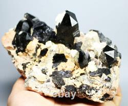 3.16 lb Natural Rare Beautiful Black QUARTZ Crystal Cluster Mineral Specimen