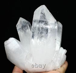 3.16lb Natural Beautiful white Quartz Crystal Cluster POINT Mineral Specimen