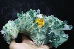 3.17lb Rare Beatiful Green Tibetan Ghost phantom Quartz Crystal Cluster Specimen
