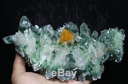 3.17lb Rare Beatiful Green Tibetan Ghost phantom Quartz Crystal Cluster Specimen