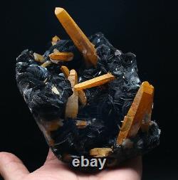 3.1lb Citrine Crystal Cluster & Flower Shape Specularite Mineral Specimen/China