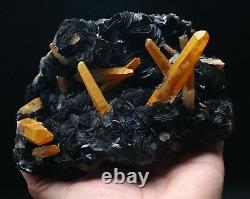 3.1lb Citrine Crystal Cluster & Flower Shape Specularite Mineral Specimen/China