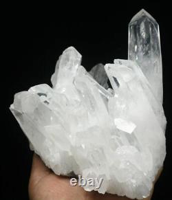 3.1lb Natural Beautiful White Quartz Crystal Cluster Point Mineral Specimen