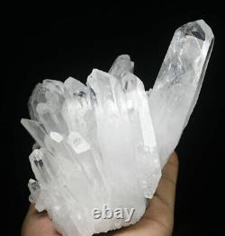 3.1lb Natural Beautiful White Quartz Crystal Cluster Point Mineral Specimen
