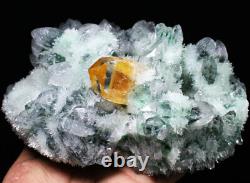 3.31lb New Find Green/Yellow Phantom Quartz Crystal Cluster Mineral Specimen