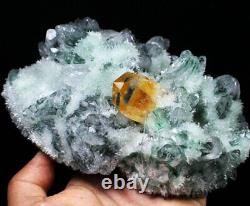 3.31lb New Find Green/Yellow Phantom Quartz Crystal Cluster Mineral Specimen