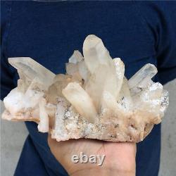 3.35LB Natural quartz cluster mineral specimen crystal Healing