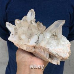 3.35LB Natural quartz cluster mineral specimen crystal Healing