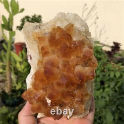 3.3lb Natural Yellow Smoky Quartz Crystal Cluster Vug Raw Rough Mineral Specimen