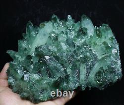3.49 lb RARE! New Find Natural Beatiful Green Quartz Crystal Cluster Specimen