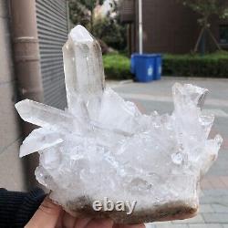 3.49LB Natural Transparent White Quartz Crystal Cluster SpecimenHealing 1120