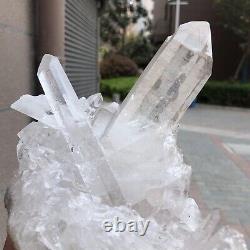 3.49LB Natural Transparent White Quartz Crystal Cluster SpecimenHealing 1120