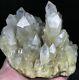 3.52lb Himalayan Rare Natural Clear Citrine Quartz Crystal Cluster Point Wand