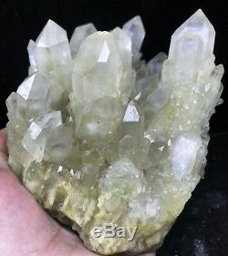 3.52lb Himalayan RARE Natural Clear Citrine Quartz Crystal Cluster Point Wand