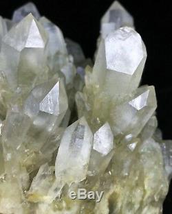 3.52lb Himalayan RARE Natural Clear Citrine Quartz Crystal Cluster Point Wand