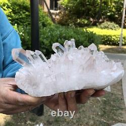 3.56LB Natural Transparent White Quartz Crystal Cluster SpecimenHealing 235