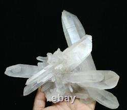 3.56lb Natural Beautiful white Quartz Crystal Cluster POINT Mineral Specimen