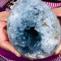 3.58LBNatural Blue Celestite Crystal Geode Quartz Cluster Mineral Specimen Reiki